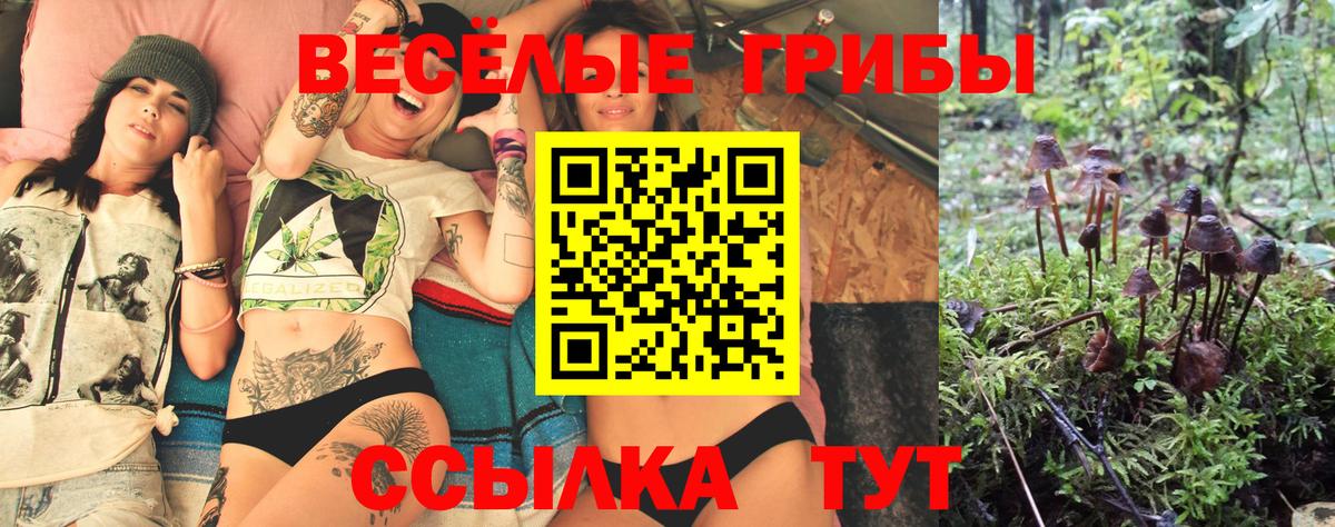 Галлюциногенные грибы прущие грибы  Вход с VPN  Кольчугино  Псилоцибиновые грибы MAGIC MUSHROOMS 