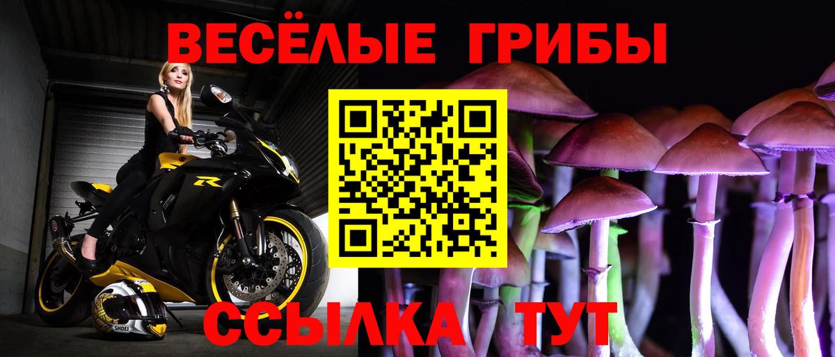 Псилоцибиновые грибы GOLDEN TEACHER Кольчугино